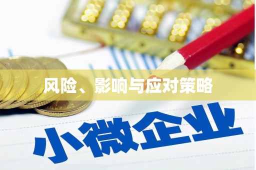 和田市风险、影响与应对策略