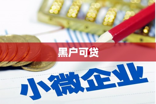 和田市黑户可贷