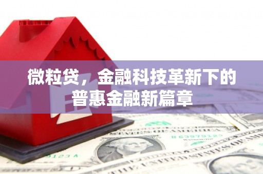 和田市微粒贷，金融科技革新下的普惠金融新篇章