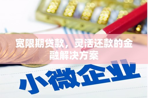 和田市宽限期贷款，灵活还款的金融解决方案