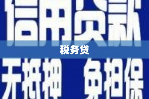 和田市税务贷