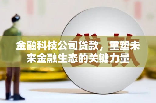 和田市金融科技公司贷款，重塑未来金融生态的关键力量