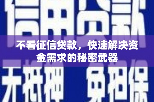 和田市不看征信贷款，快速解决资金需求的秘密武器