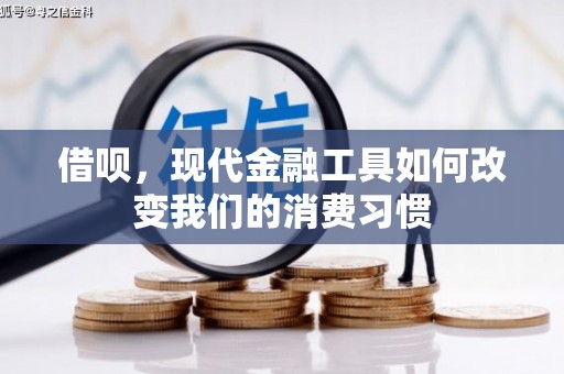和田市借呗，现代金融工具如何改变我们的消费习惯