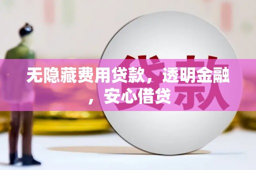 和田市无隐藏费用贷款，透明金融，安心借贷