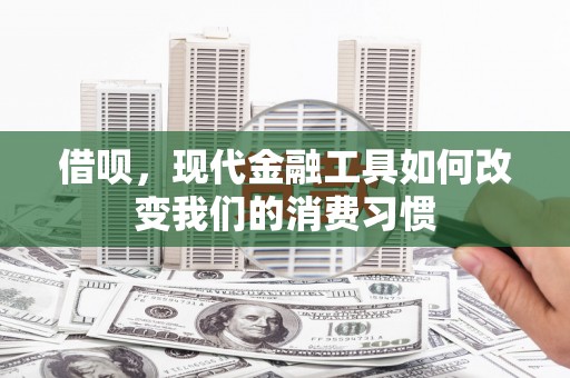 和田市借呗，现代金融工具如何改变我们的消费习惯