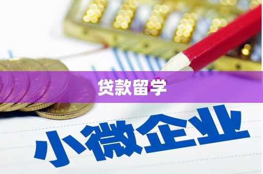 和田市贷款留学
