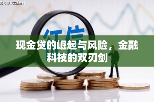和田市现金贷的崛起与风险，金融科技的双刃剑