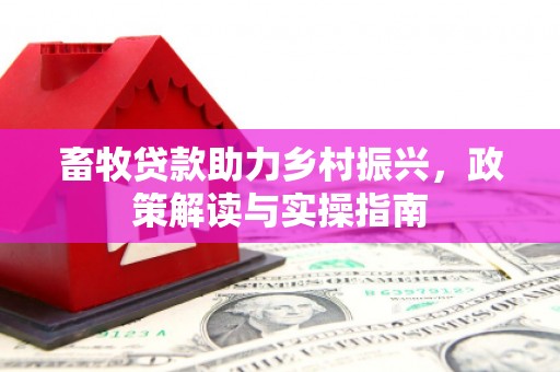 和田市畜牧贷款助力乡村振兴，政策解读与实操指南