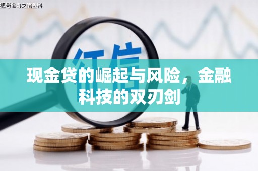 和田市现金贷的崛起与风险，金融科技的双刃剑