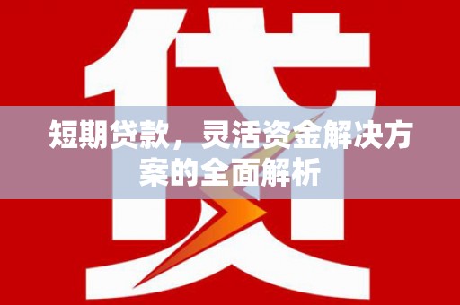 和田市短期贷款，灵活资金解决方案的全面解析