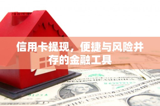 和田市信用卡提现，便捷与风险并存的金融工具