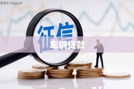 和田市车辆贷款