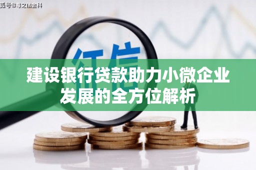 和田市建设银行贷款助力小微企业发展的全方位解析