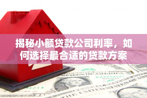 和田市揭秘小额贷款公司利率，如何选择最合适的贷款方案