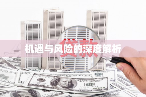和田市机遇与风险的深度解析