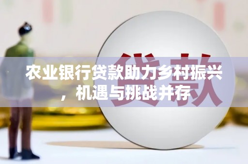 和田市农业银行贷款助力乡村振兴，机遇与挑战并存