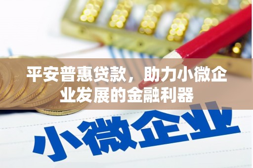 和田市平安普惠贷款，助力小微企业发展的金融利器