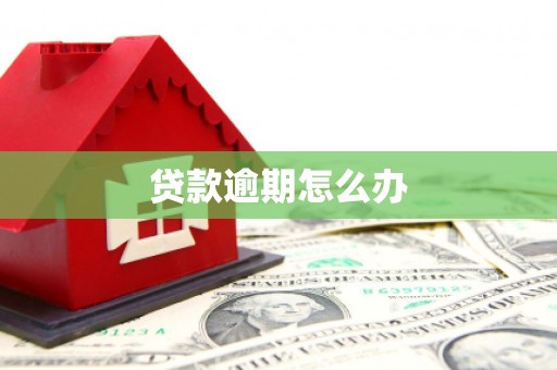 和田市贷款逾期怎么办
