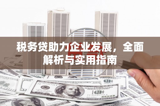 和田市税务贷助力企业发展，全面解析与实用指南