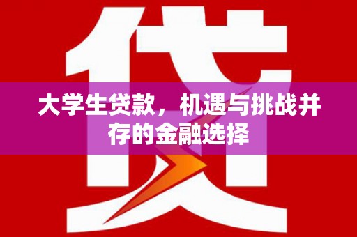 和田市大学生贷款，机遇与挑战并存的金融选择