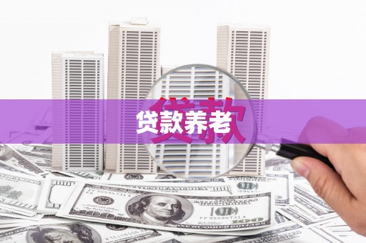 和田市贷款养老