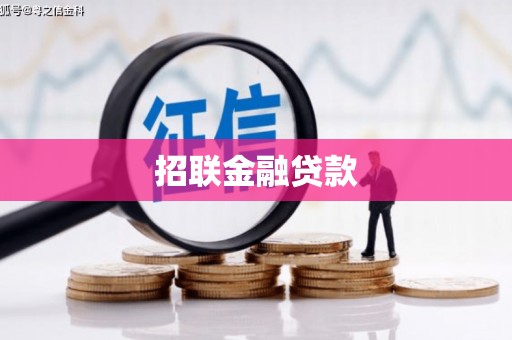 和田市招联金融贷款