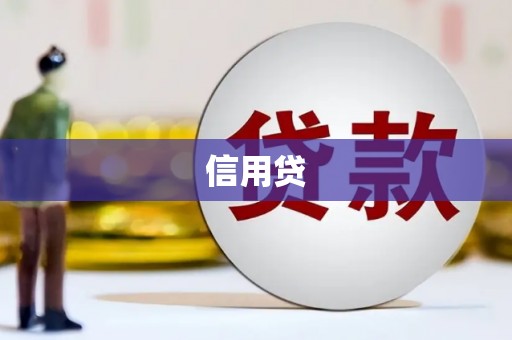 和田市信用贷