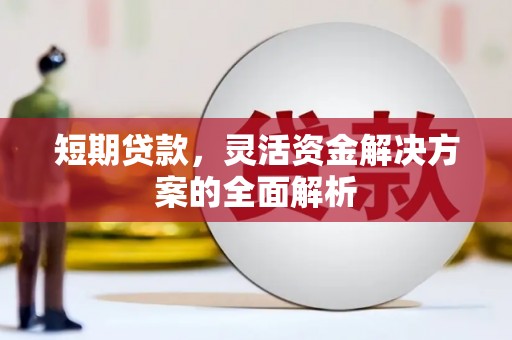 和田市短期贷款，灵活资金解决方案的全面解析