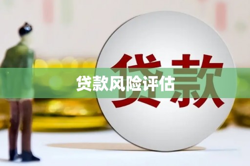 和田市贷款风险评估