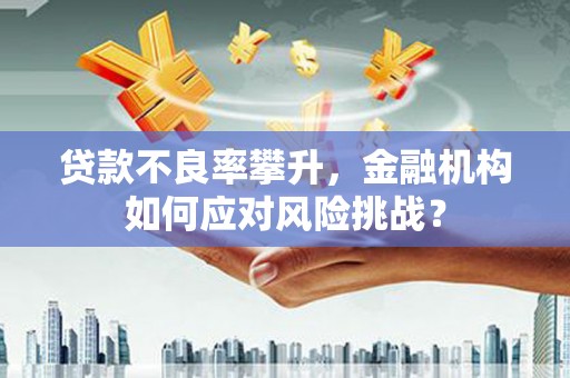 和田市贷款不良率攀升，金融机构如何应对风险挑战？