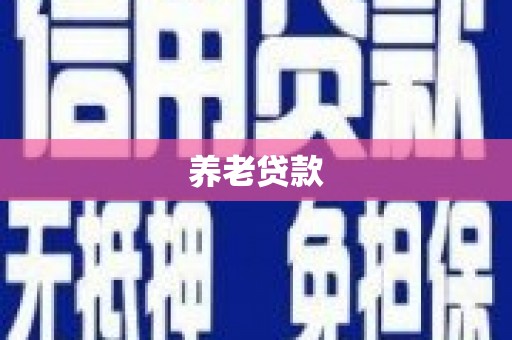 和田市养老贷款