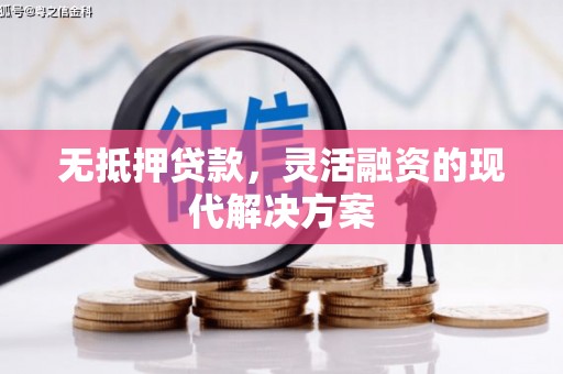 和田市无抵押贷款，灵活融资的现代解决方案