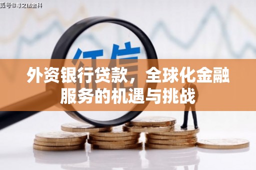和田市外资银行贷款，全球化金融服务的机遇与挑战