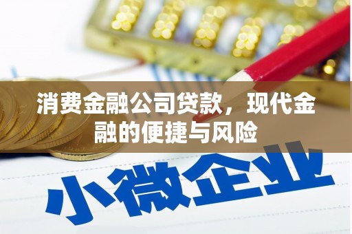 和田市消费金融公司贷款，现代金融的便捷与风险