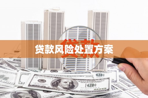 和田市贷款风险处置方案