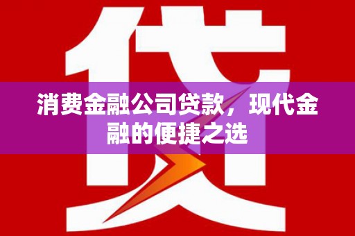 和田市消费金融公司贷款，现代金融的便捷之选