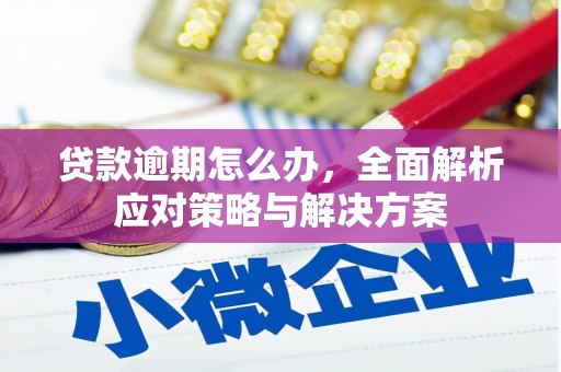 和田市贷款逾期怎么办，全面解析应对策略与解决方案