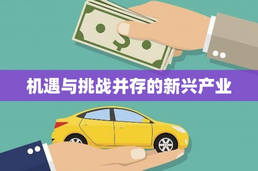 和田市机遇与挑战并存的新兴产业