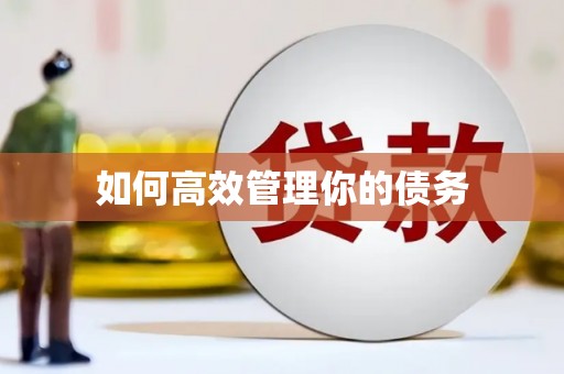 和田市如何高效管理你的债务