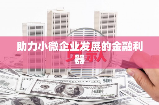和田市助力小微企业发展的金融利器