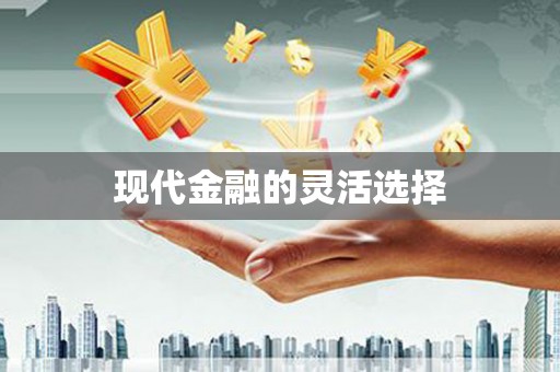 和田市现代金融的灵活选择