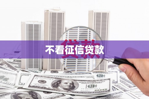 和田市不看征信贷款