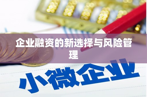 和田市企业融资的新选择与风险管理