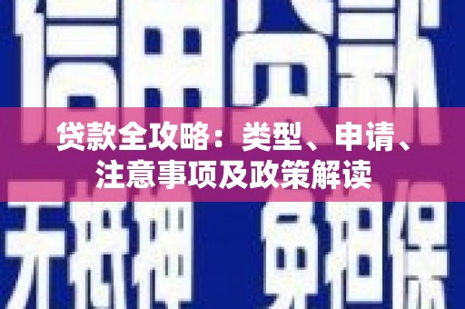 和田市贷款全攻略：类型、申请、注意事项及政策解读