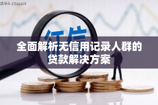 和田市全面解析无信用记录人群的贷款解决方案
