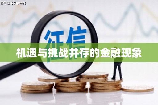 和田市机遇与挑战并存的金融现象